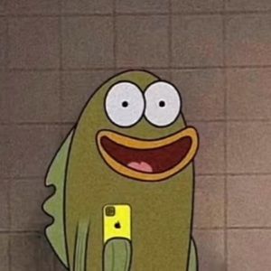 Meet your Posher, Avel